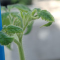 34005_20181001143006_01.JPG