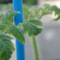34005_20181001143009_01.JPG