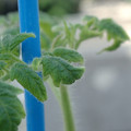 34005_20181001143010_01.JPG
