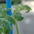 34005_20181001143012_01.JPG