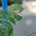 34005_20181001143014_01.JPG