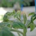 34005_20181001143040_01.JPG