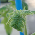 34005_20181001143103_01.JPG
