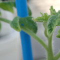 34005_20181001143110_01.JPG