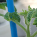 34005_20181001143111_01.JPG