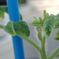 34005_20181001143112_01.JPG