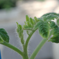 34005_20181001143119_01.JPG