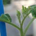 34005_20181001143120_01.JPG