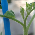 34005_20181001143121_01.JPG