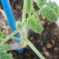 34005_20181001143145_01.JPG