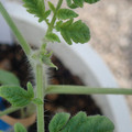 34005_20181001143153_01.JPG