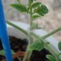 34005_20181001143157_01.JPG