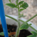 34005_20181001143158_01.JPG