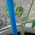 34005_20181001143205_01.JPG