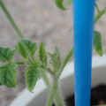 34005_20181001143214_01.JPG