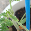 34005_20181001143229_01.JPG