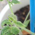 34005_20181001143231_01.JPG