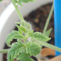 34005_20181001143232_01.JPG