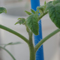 34005_20181001143326_01.JPG