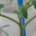 34005_20181001143329_01.JPG