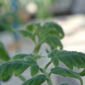 34005_20181001143400_01.JPG