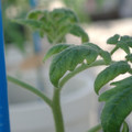 34005_20181001143404_01.JPG