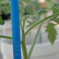 34005_20181001143414_01.JPG