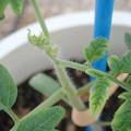 34005_20181001143452_01.JPG