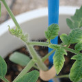 34005_20181001143455_01.JPG