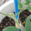 34005_20181001143506_01.JPG