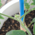 34005_20181001143507_01.JPG
