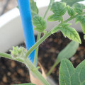 34005_20181001143509_01.JPG