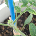 34005_20181001143511_01.JPG
