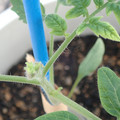 34005_20181001143512_01.JPG