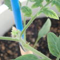 34005_20181001143513_01.JPG