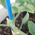 34005_20181001143514_01.JPG
