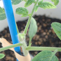 34005_20181001143523_01.JPG