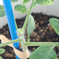 34005_20181001143524_01.JPG