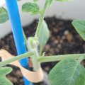 34005_20181001143525_01.JPG