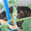 34005_20181001143527_01.JPG