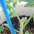 34005_20181001143537_01.JPG