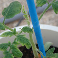 34005_20181001143600_01.JPG