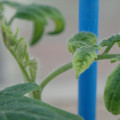 34005_20181001143620_01.JPG