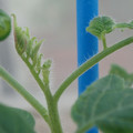 34005_20181001143630_01.JPG