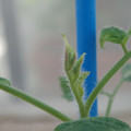 34005_20181001143642_01.JPG