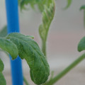 34005_20181001143700_01.JPG