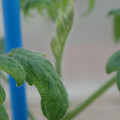 34005_20181001143701_01.JPG