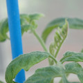 34005_20181001143712_01.JPG