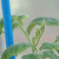 34005_20181001143713_01.JPG