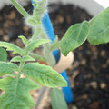 34005_20181001143759_01.JPG